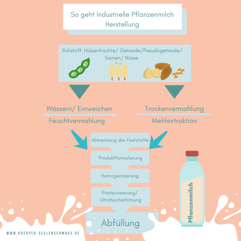 So geht Industrielle Pflanzenmilch Herstellung (2)